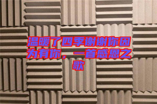溫暖了四季謝謝你因為有你，一首感恩之歌