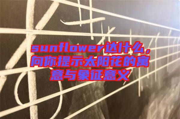 sunflower達(dá)什么，向你提示太陽(yáng)花的寓意與象征意義