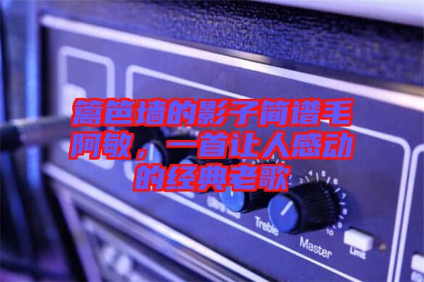 籬笆墻的影子簡譜毛阿敏，一首讓人感動的經(jīng)典老歌