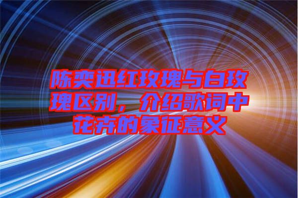 陳奕迅紅玫瑰與白玫瑰區(qū)別，介紹歌詞中花卉的象征意義