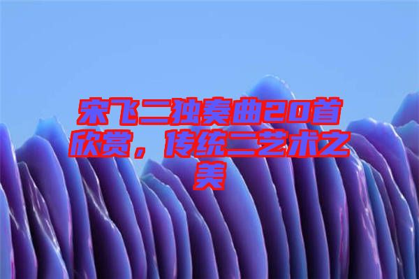 宋飛二獨(dú)奏曲20首欣賞，傳統(tǒng)二藝術(shù)之美