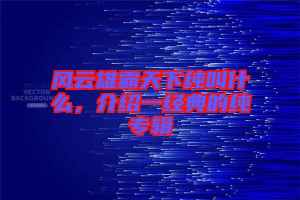 風(fēng)云雄霸天下純叫什么，介紹一經(jīng)典的純專輯