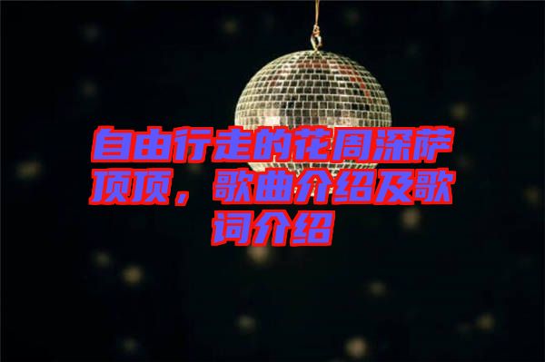 自由行走的花周深薩頂頂，歌曲介紹及歌詞介紹
