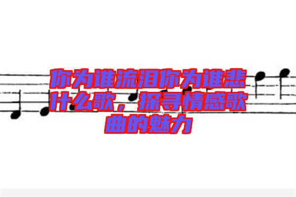 你為誰(shuí)流淚你為誰(shuí)悲什么歌，探尋情感歌曲的魅力