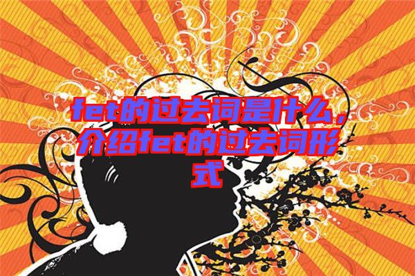 fet的過去詞是什么，介紹fet的過去詞形式