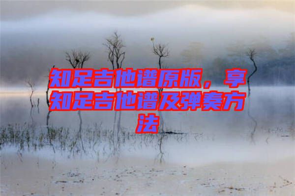 知足吉他譜原版，享知足吉他譜及彈奏方法