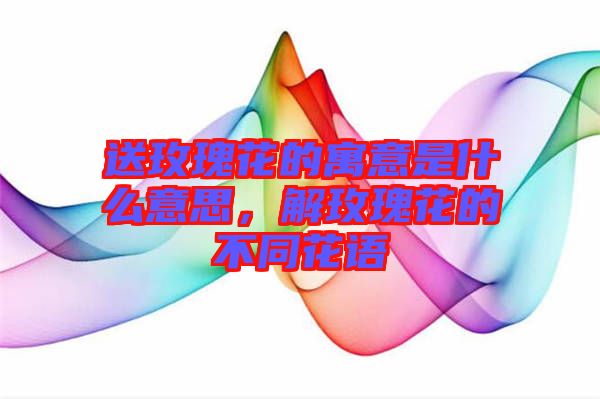 送玫瑰花的寓意是什么意思，解玫瑰花的不同花語