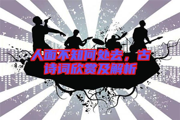 人面不知何處去，古詩(shī)詞欣賞及解析
