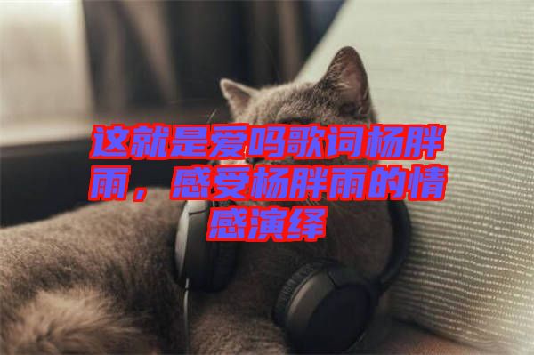 這就是愛(ài)嗎歌詞楊胖雨，感受楊胖雨的情感演繹