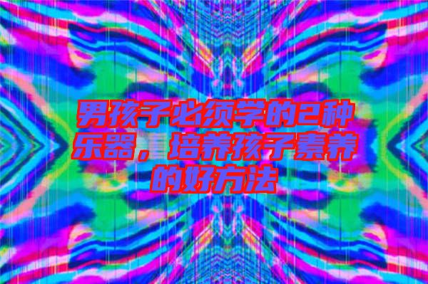 男孩子必須學(xué)的2種樂器，培養(yǎng)孩子素養(yǎng)的好方法