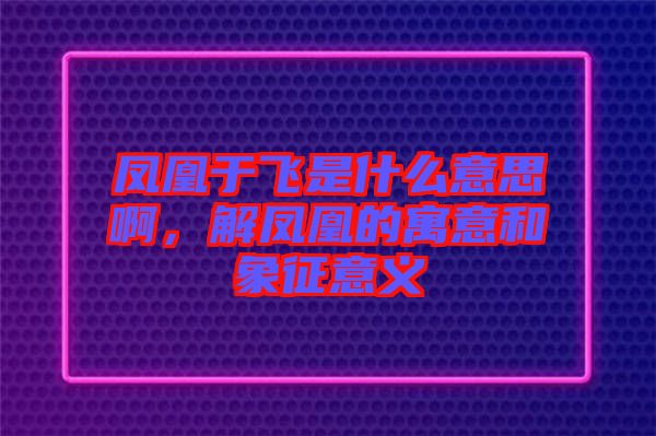 鳳凰于飛是什么意思啊，解鳳凰的寓意和象征意義