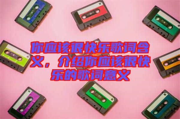 你應(yīng)該很快樂(lè)歌詞含義，介紹你應(yīng)該很快樂(lè)的歌詞意義