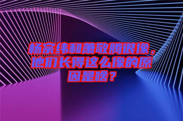 楊宗緯和蕭敬騰很像，他們長(zhǎng)得這么像的原因是啥？