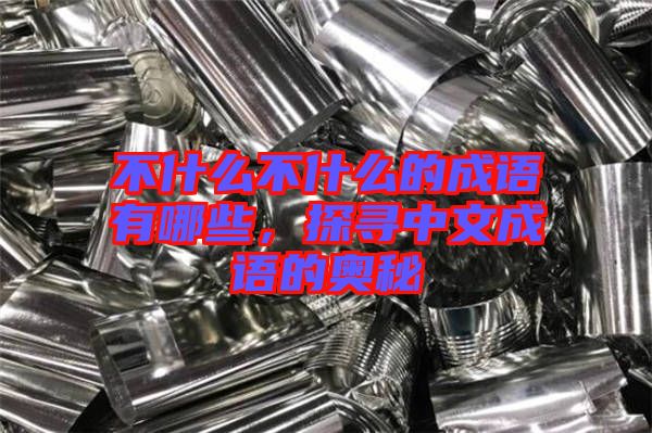 不什么不什么的成語有哪些，探尋中文成語的奧秘