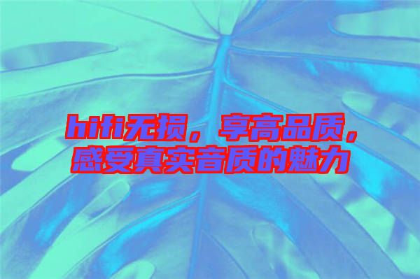 hifi無損，享高品質(zhì)，感受真實(shí)音質(zhì)的魅力