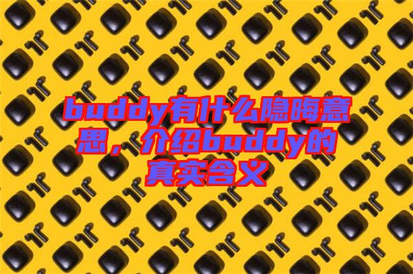 buddy有什么隱晦意思，介紹buddy的真實含義