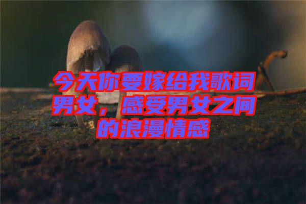 今天你要嫁給我歌詞男女，感受男女之間的浪漫情感