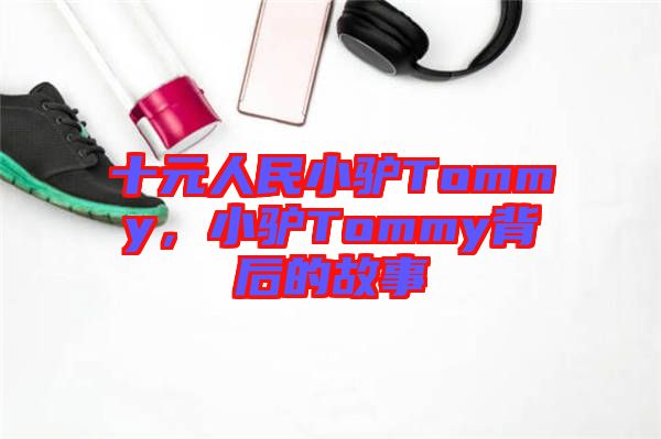十元人民小驢Tommy，小驢Tommy背后的故事