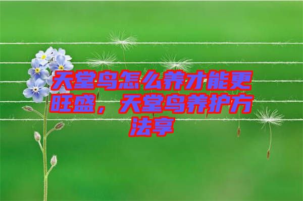 天堂鳥怎么養(yǎng)才能更旺盛，天堂鳥養(yǎng)護方法享