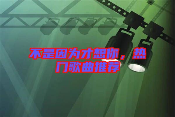 不是因?yàn)椴畔肽?，熱門歌曲推薦