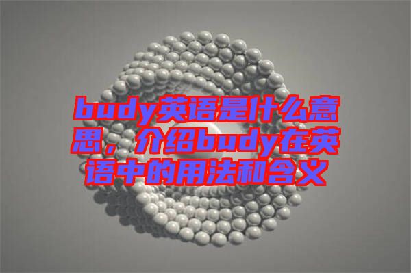 budy英語是什么意思，介紹budy在英語中的用法和含義