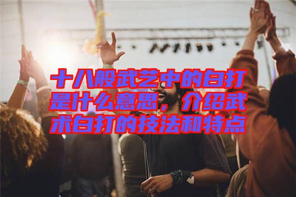 十八般武藝中的白打是什么意思，介紹武術(shù)白打的技法和特點(diǎn)