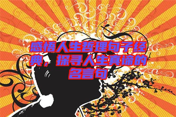 感悟人生哲理句子經(jīng)典，探尋人生真諦的名言句