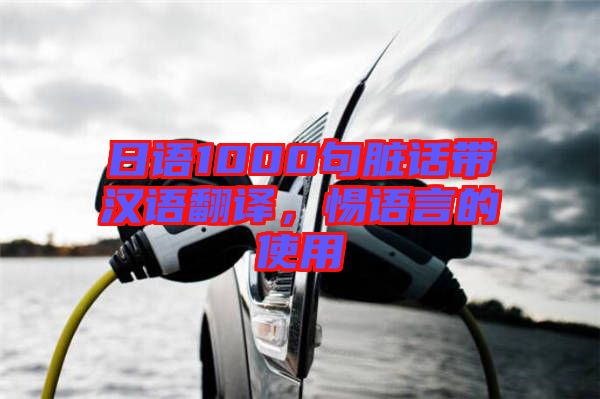 日語(yǔ)1000句臟話帶漢語(yǔ)翻譯，惕語(yǔ)言的使用