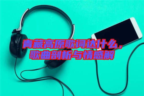 青藏高原歌詞達(dá)什么，歌曲剖析與情感解