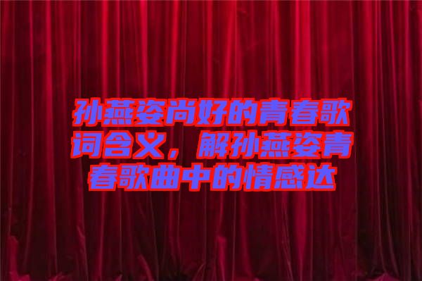 孫燕姿尚好的青春歌詞含義，解孫燕姿青春歌曲中的情感達(dá)