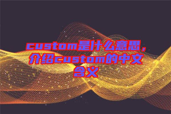 custom是什么意思，介紹custom的中文含義