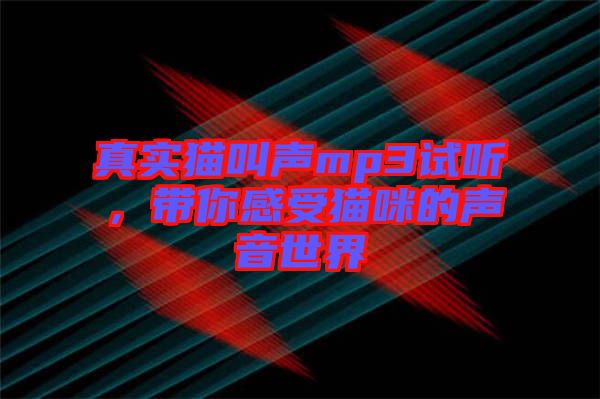 真實貓叫聲mp3試聽，帶你感受貓咪的聲音世界