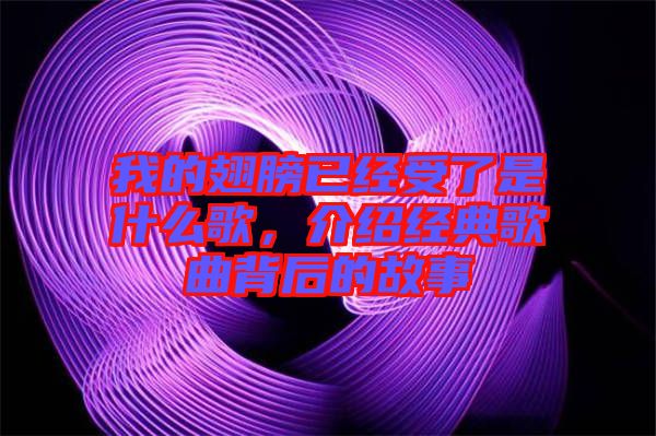 我的翅膀已經(jīng)受了是什么歌，介紹經(jīng)典歌曲背后的故事