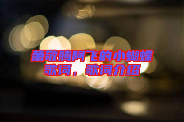 蕭敬騰阿飛的小蝴蝶歌詞，歌詞介紹