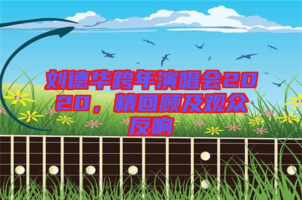 劉德華跨年演唱會2020，精回顧及觀眾反響