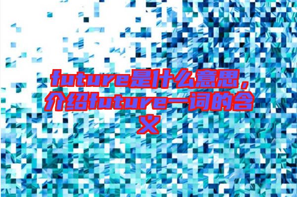 future是什么意思，介紹future一詞的含義