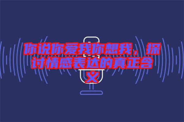 你說(shuō)你愛(ài)我你想我，探討情感表達(dá)的真正含義