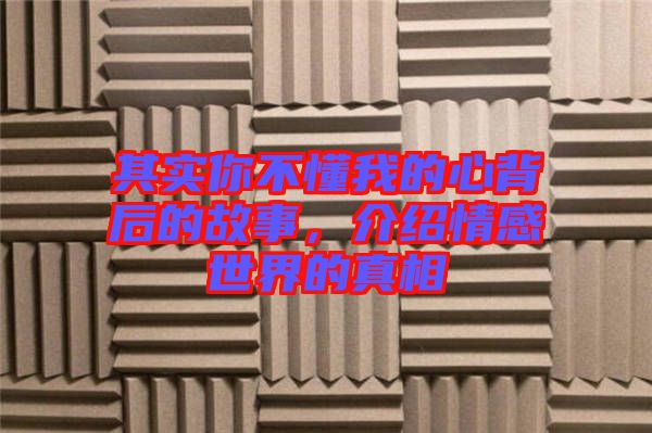 其實你不懂我的心背后的故事，介紹情感世界的真相