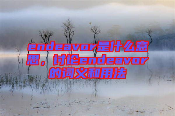 endeavor是什么意思，討論endeavor的詞義和用法
