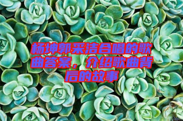 楊坤郭采潔合唱的歌曲答案，介紹歌曲背后的故事