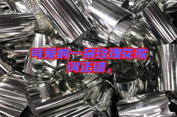 可愛的一朵玫瑰花歌詞正譜，