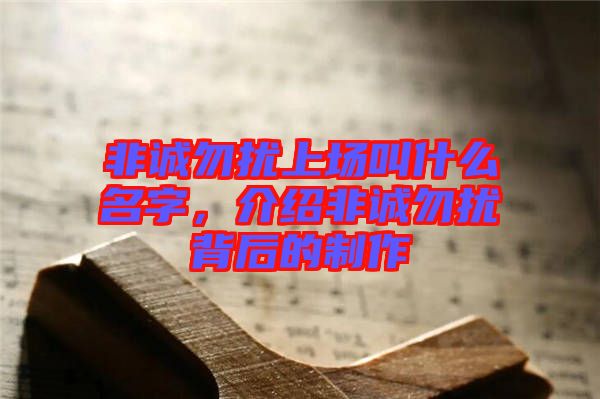非誠勿擾上場叫什么名字，介紹非誠勿擾背后的制作