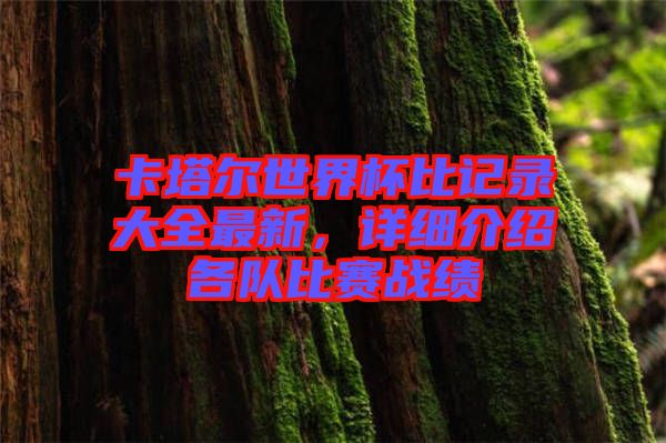 卡塔爾世界杯比記錄大全最新，詳細介紹各隊比賽戰(zhàn)績