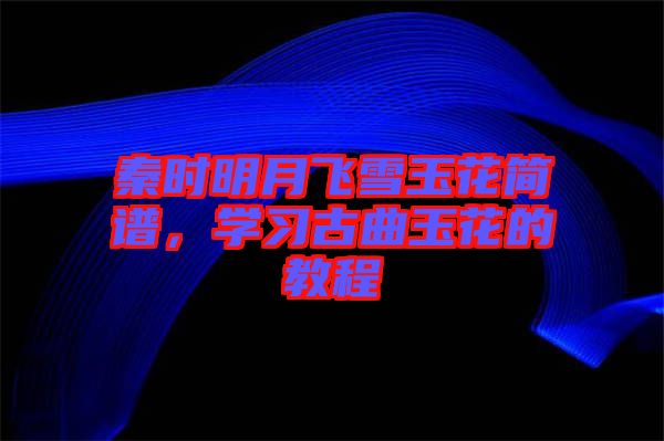 秦時明月飛雪玉花簡譜，學(xué)習(xí)古曲玉花的教程