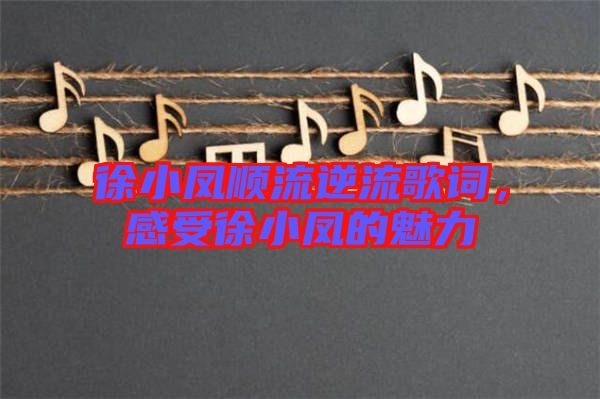 徐小鳳順流逆流歌詞，感受徐小鳳的魅力