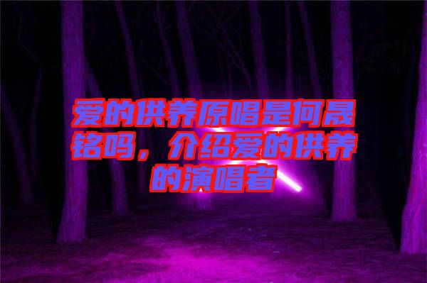愛的供養(yǎng)原唱是何晟銘嗎，介紹愛的供養(yǎng)的演唱者