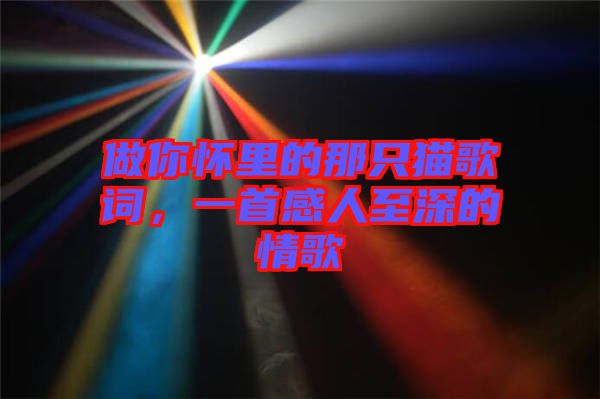 做你懷里的那只貓歌詞，一首感人至深的情歌