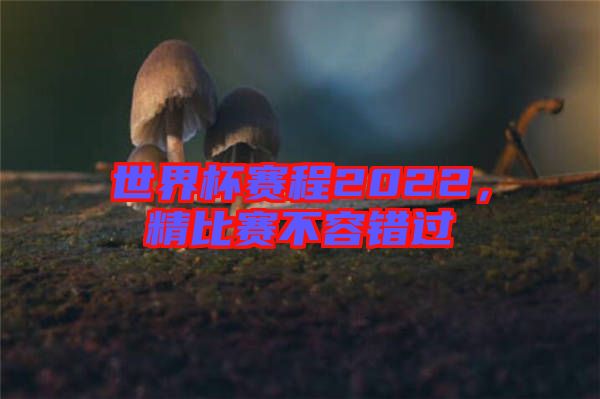 世界杯賽程2022，精比賽不容錯過