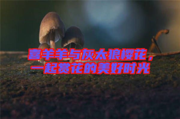 喜羊羊與灰太狼櫻花，一起賞花的美好時(shí)光
