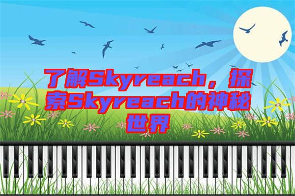 了解Skyreach，探索Skyreach的神秘世界